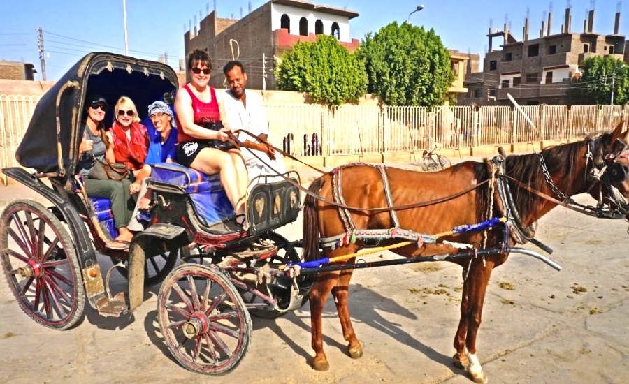 Luxor City Tour by Carriage